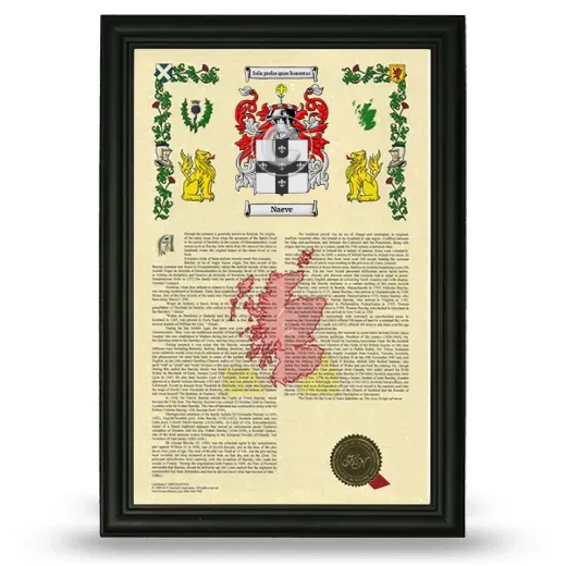 Naeve Armorial History Framed - Black