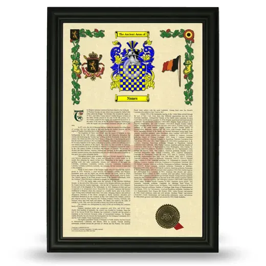 Nanes Armorial History Framed - Black