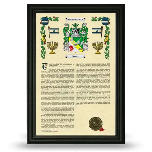 Netter Armorial History Framed - Black