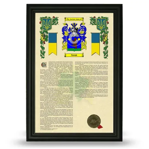 Novak Armorial History Framed - Black