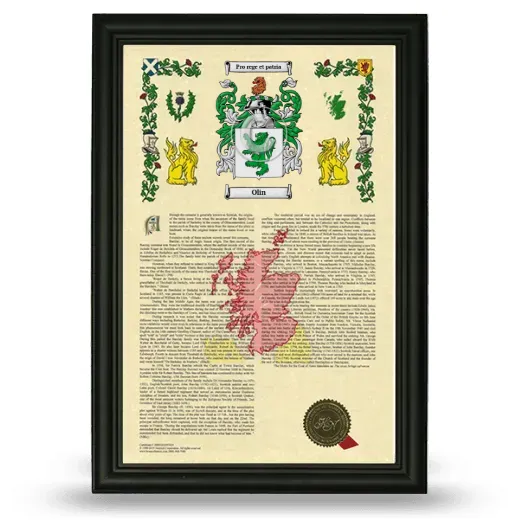 Olin Armorial History Framed - Black