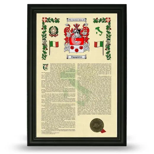 Papapietro Armorial History Framed - Black