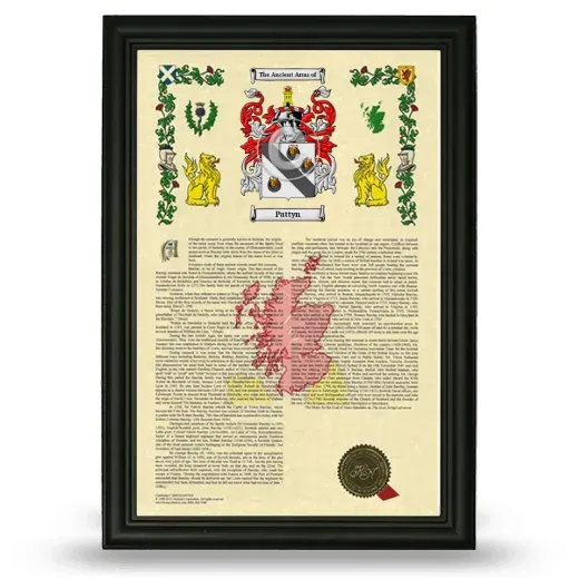 Pattyn Armorial History Framed - Black
