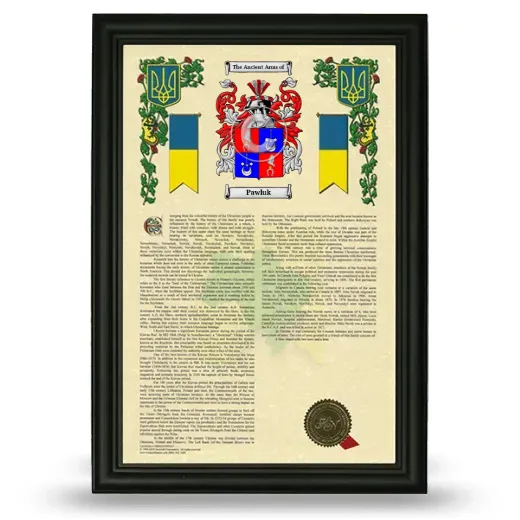 Pawluk Armorial History Framed - Black