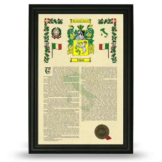 Pegora Armorial History Framed - Black