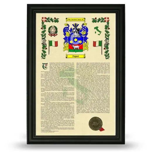 Peguri Armorial History Framed - Black