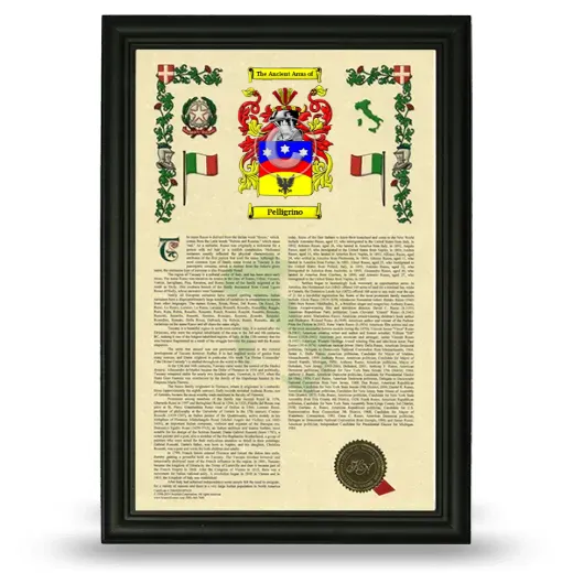 Pelligrino Armorial History Framed - Black