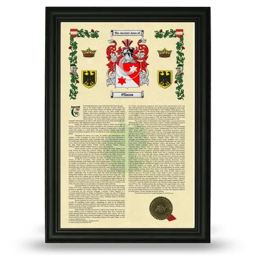 Pflaum Armorial History Framed - Black