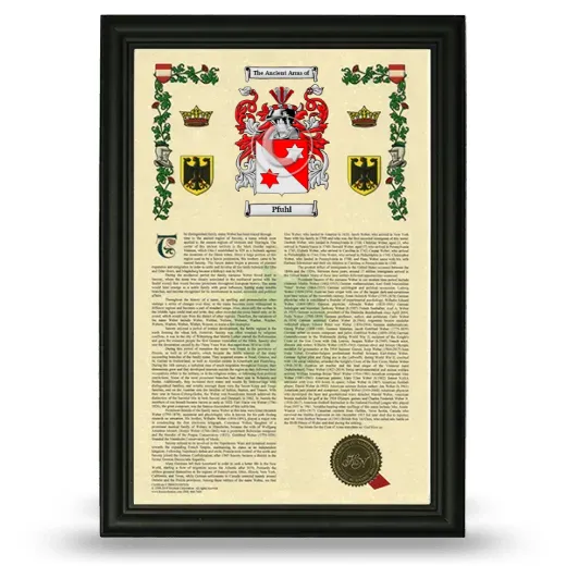 Pfuhl Armorial History Framed - Black