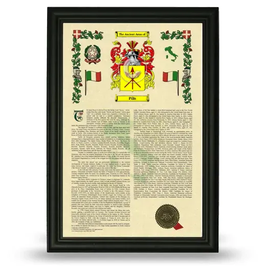 Pilis Armorial History Framed - Black