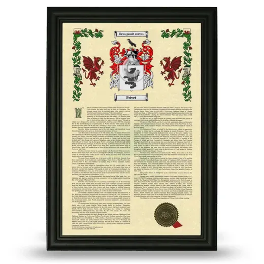Privet Armorial History Framed - Black