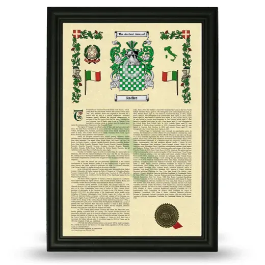 Radice Armorial History Framed - Black