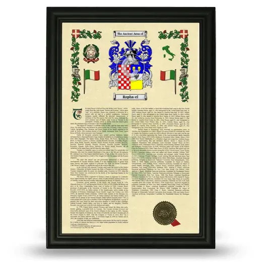 Rapha-el Armorial History Framed - Black