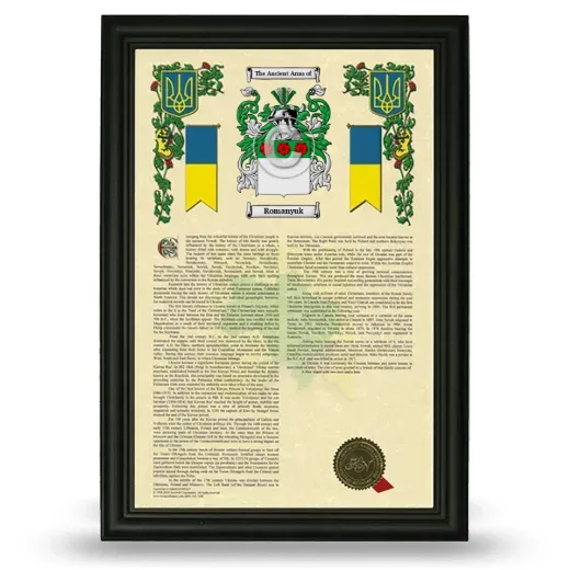 Romanyuk Armorial History Framed - Black