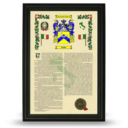 Sénior Armorial History Framed - Black