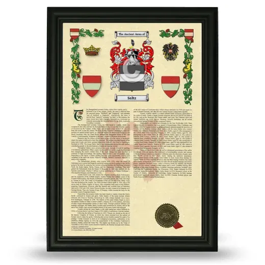 Saltz Armorial History Framed - Black