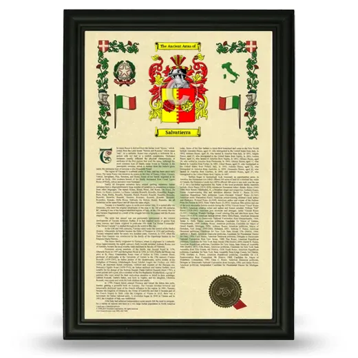 Salvatierra Armorial History Framed - Black