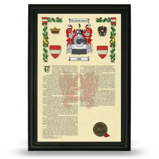 Salz Armorial History Framed - Black
