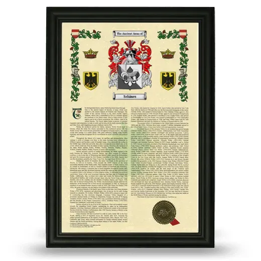Schines Armorial History Framed - Black