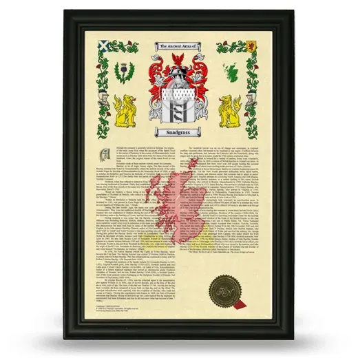 Snadgrass Armorial History Framed - Black