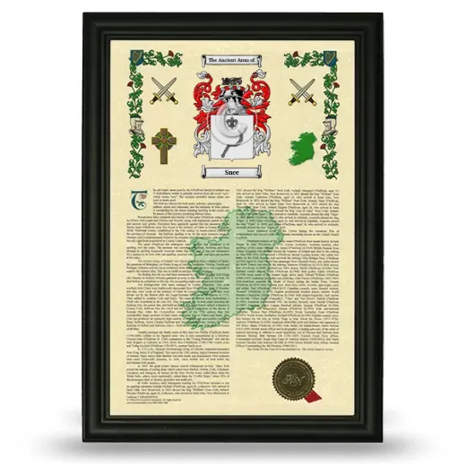Snee Armorial History Framed - Black