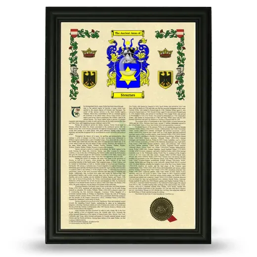Stearnes Armorial History Framed - Black