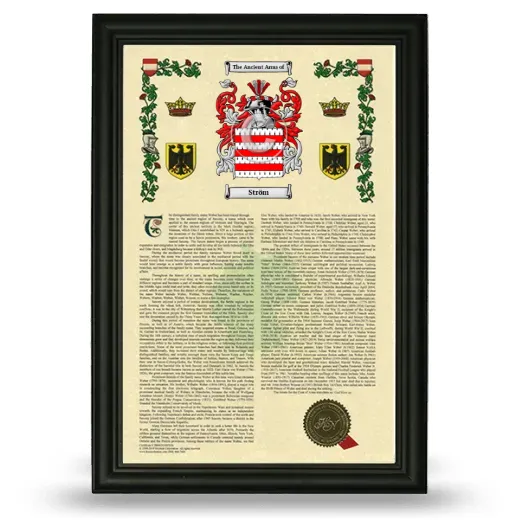 Ström Armorial History Framed - Black