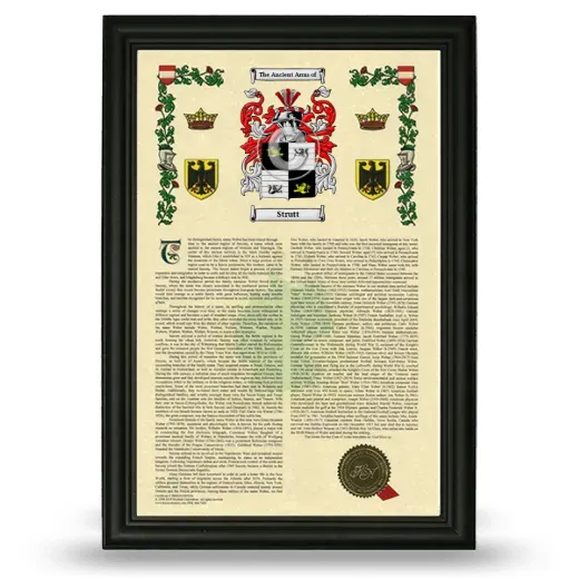 Strutt Armorial History Framed - Black