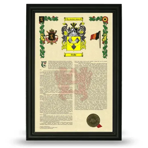 Stuhr Armorial History Framed - Black