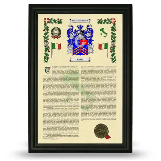 Tadeo Armorial History Framed - Black