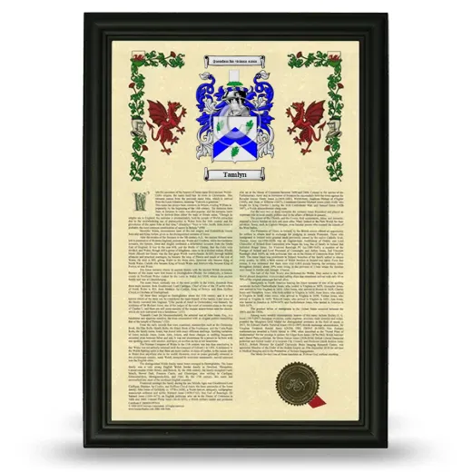 Tamlyn Armorial History Framed - Black