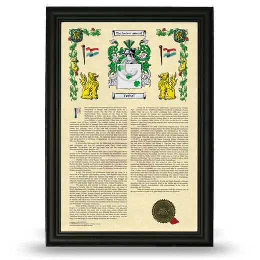 Techel Armorial History Framed - Black