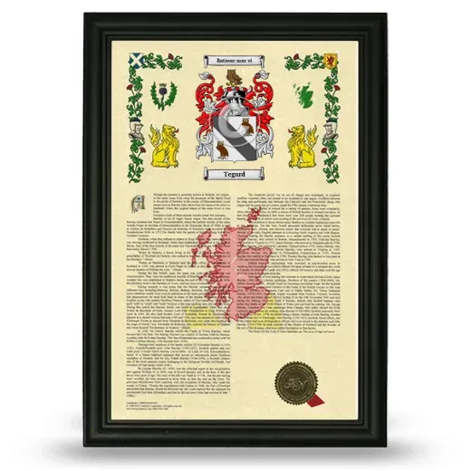Tegard Armorial History Framed - Black