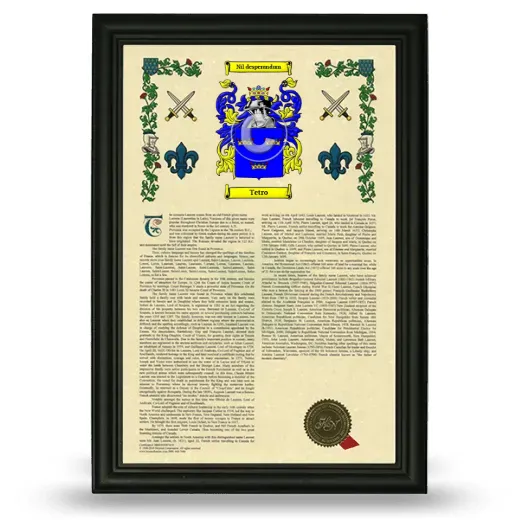 Tetro Armorial History Framed - Black