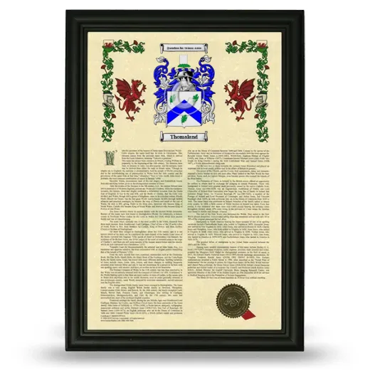 Thomaland Armorial History Framed - Black