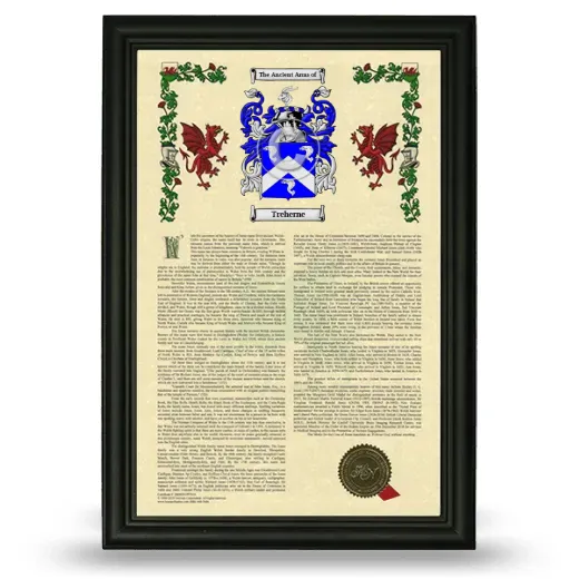 Treherne Armorial History Framed - Black