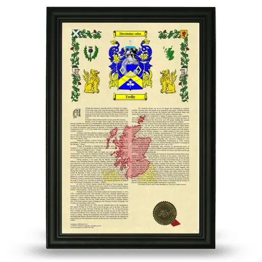 Trelly Armorial History Framed - Black