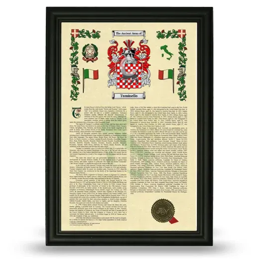Tuminello Armorial History Framed - Black