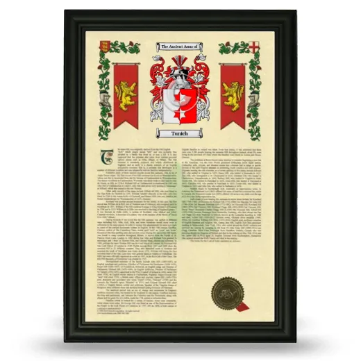 Tunich Armorial History Framed - Black