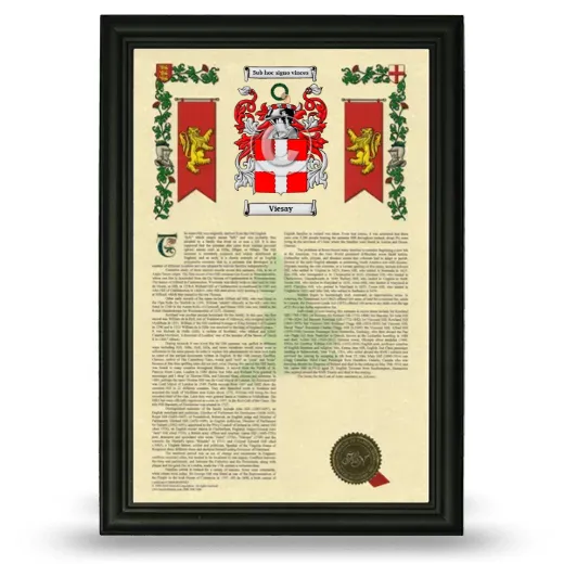 Viesay Armorial History Framed - Black