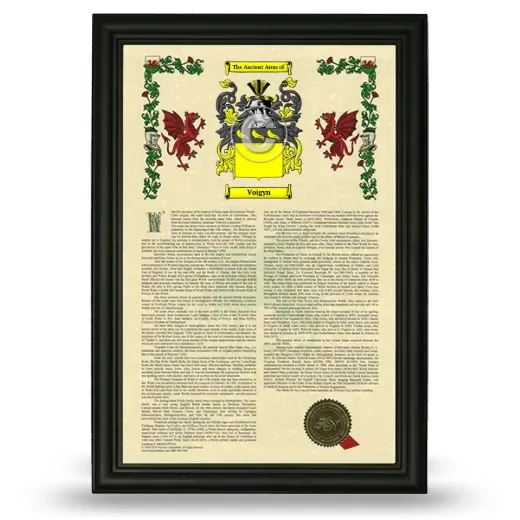 Voigyn Armorial History Framed - Black