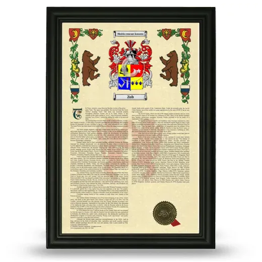Zub Armorial History Framed - Black
