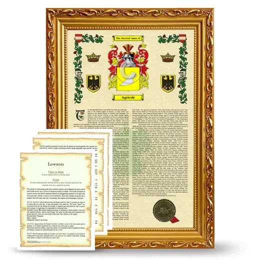 Agricole Framed Armorial History and Symbolism - Gold