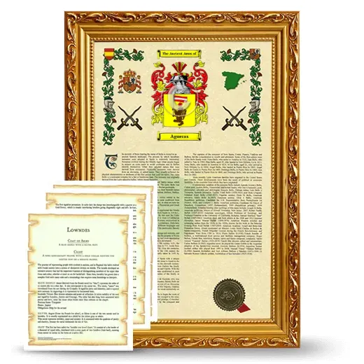 Agueras Framed Armorial History and Symbolism - Gold