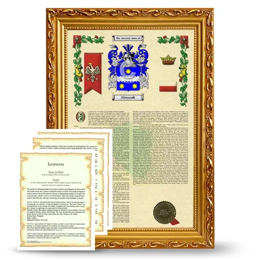 Alexandr Framed Armorial History and Symbolism - Gold