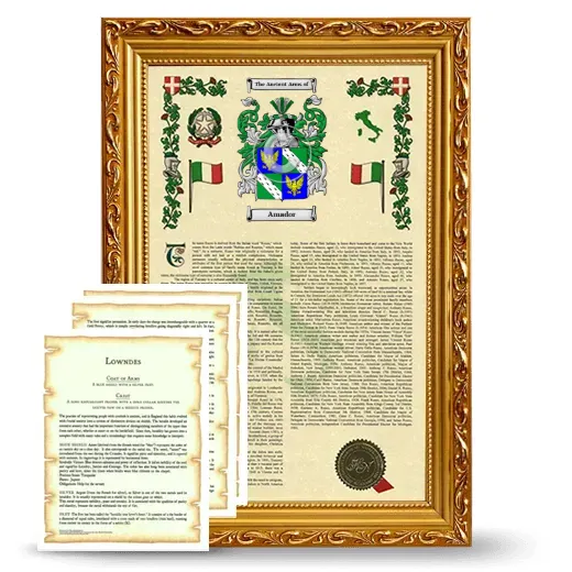 Amador Framed Armorial History and Symbolism - Gold