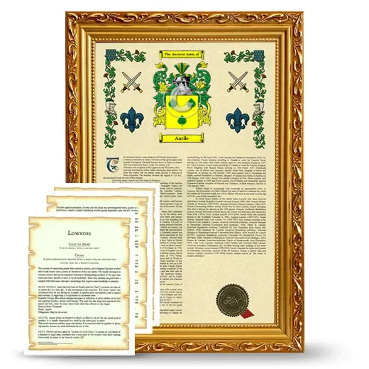Antile Framed Armorial History and Symbolism - Gold