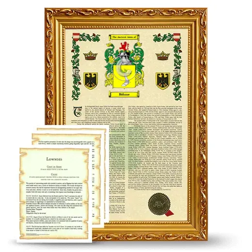 Böhme Framed Armorial History and Symbolism - Gold