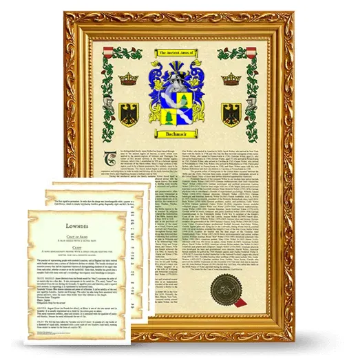 Bachmair Framed Armorial History and Symbolism - Gold