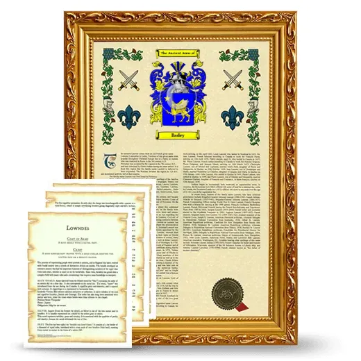 Badey Framed Armorial History and Symbolism - Gold